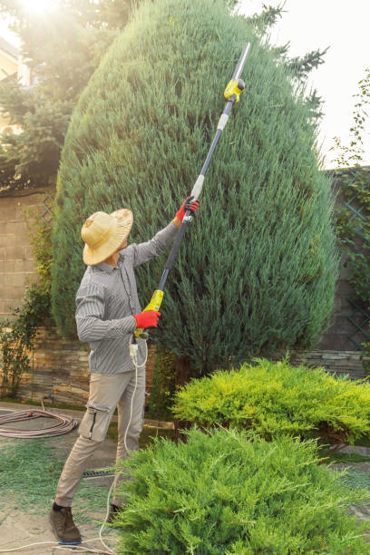 Best Pest Control for Lawns  in USA